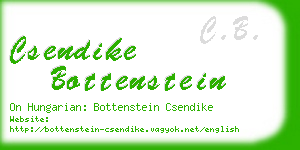 csendike bottenstein business card